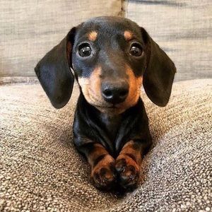 Meet your Posher, Bethany